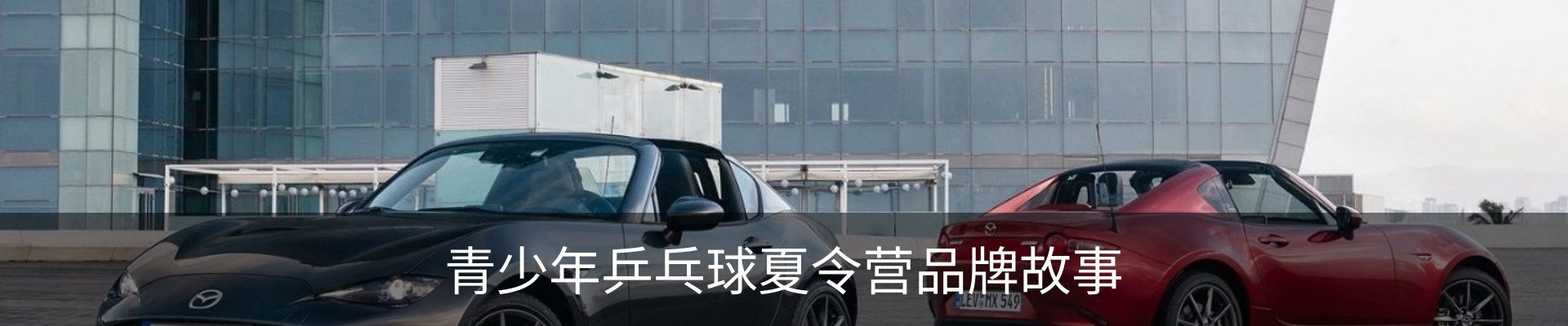 青少年乒乓球夏令营品牌故事